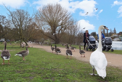 Click the image for optimum view